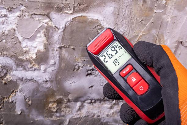 Mold Removal and Inspection in Kennesaw State University, GA